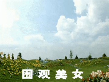 自动草稿-10