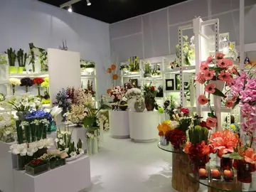 RUewnhzHUVfIUdtplv-tt-cs0360270.webp_
