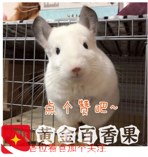 iPhoneX怎么强制重启？怎么进DFU模式、恢复模式？