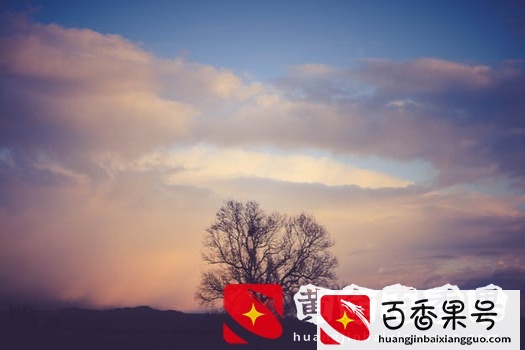 一般保证和连带责任保证有什么区别？