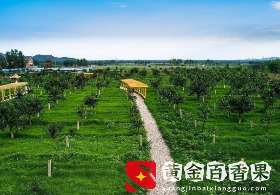 在2022，什么能通过种植和养殖赚钱？