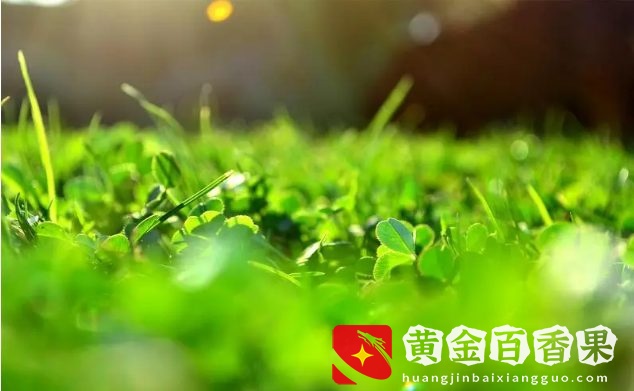 在2022，什么能通过种植和养殖赚钱？