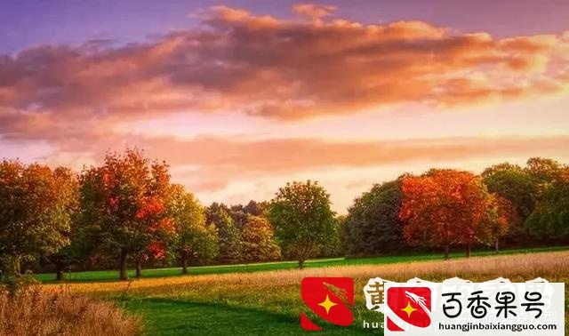 周六日兼职有什么工作