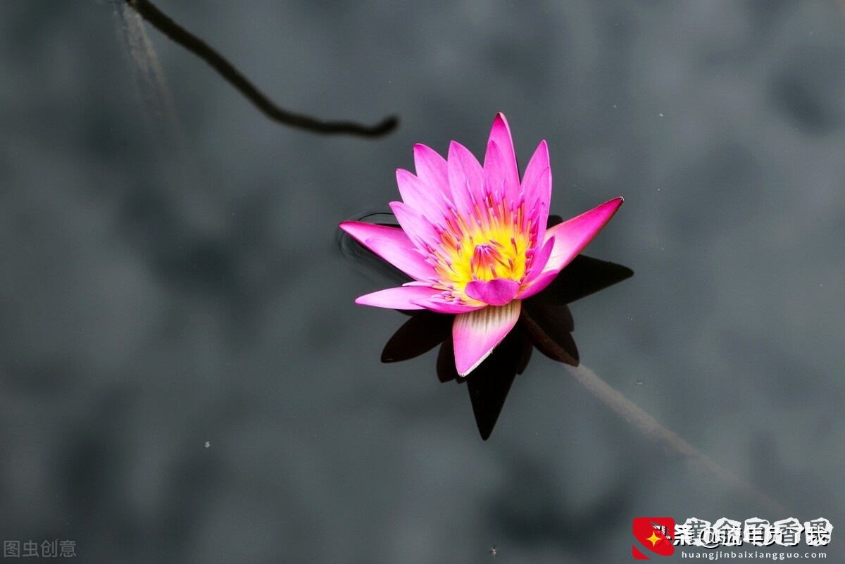 如何做到心无杂念不胡思乱想，奉劝你这样做，一次只抓一只兔子