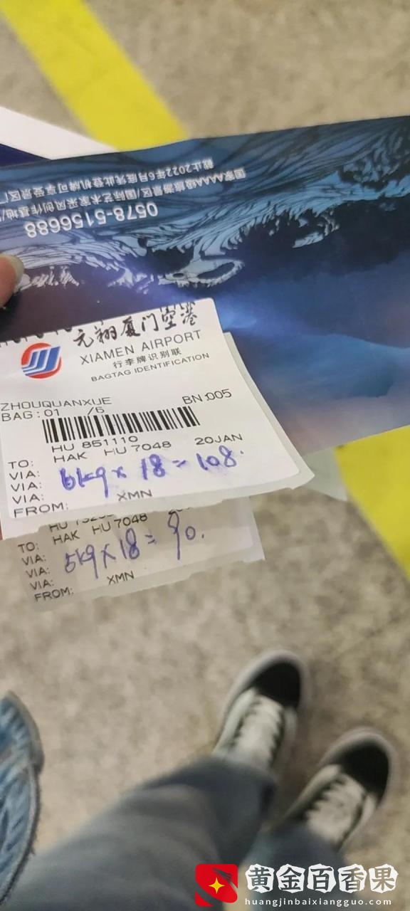 坐飞机如何托运猫咪
