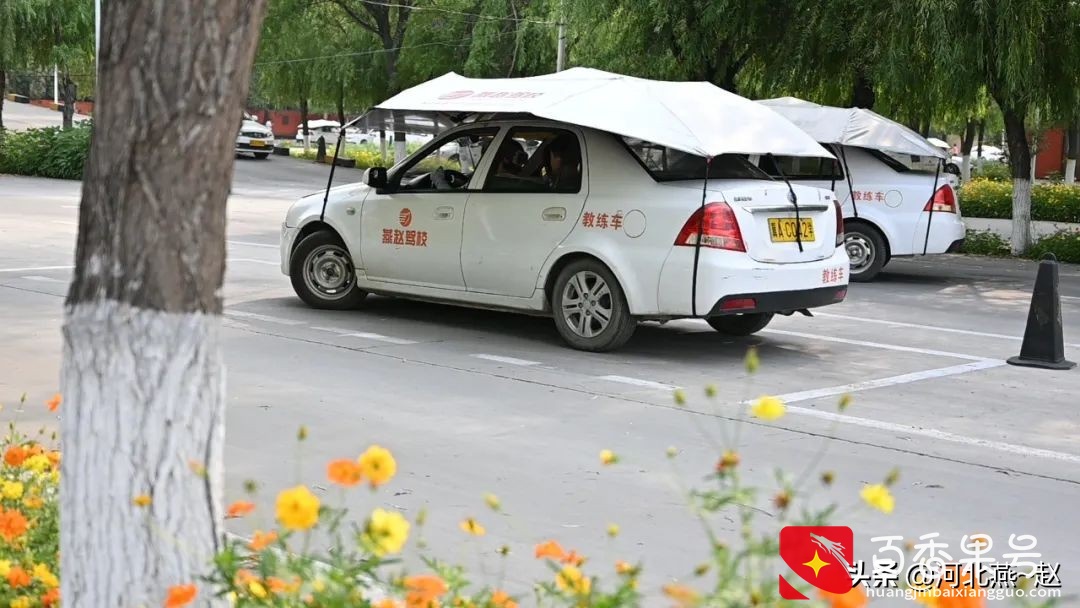 春节假期后是报名学车的最好时机