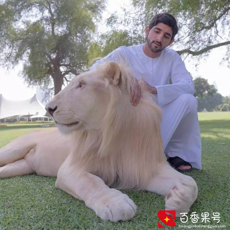 身为一座城，迪拜人为什么这么有钱？（下）