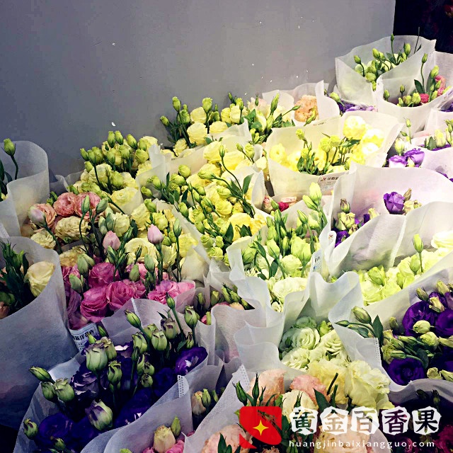 厦门大名鼎鼎的花鸟市场