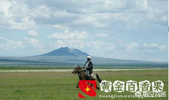 蒙古马多少钱一匹？内蒙古马卖多少钱一匹？