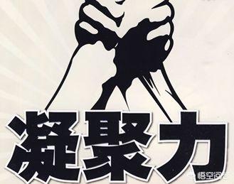 团队凝聚力如何提升团队效率