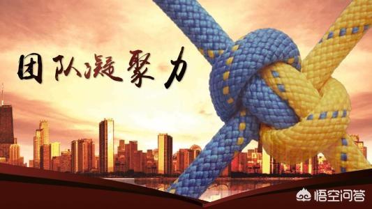 团队凝聚力如何提升团队效率
