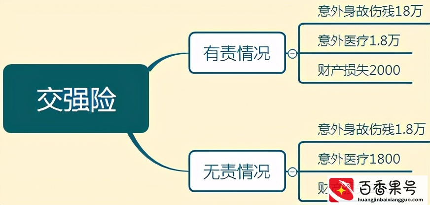 车险一般买哪几种？开车十年老司机认为这四种必买