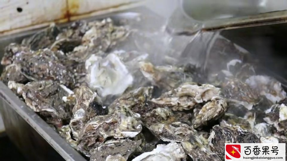 江苏大哥会做生意，低成本高利润，年入账300万