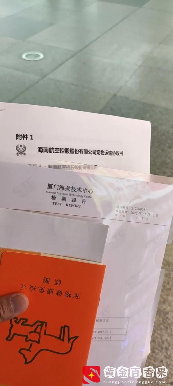坐飞机如何托运猫咪