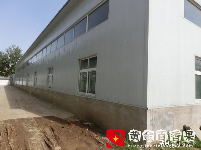 有厂房做什么生意好？有厂房做什么小买卖？