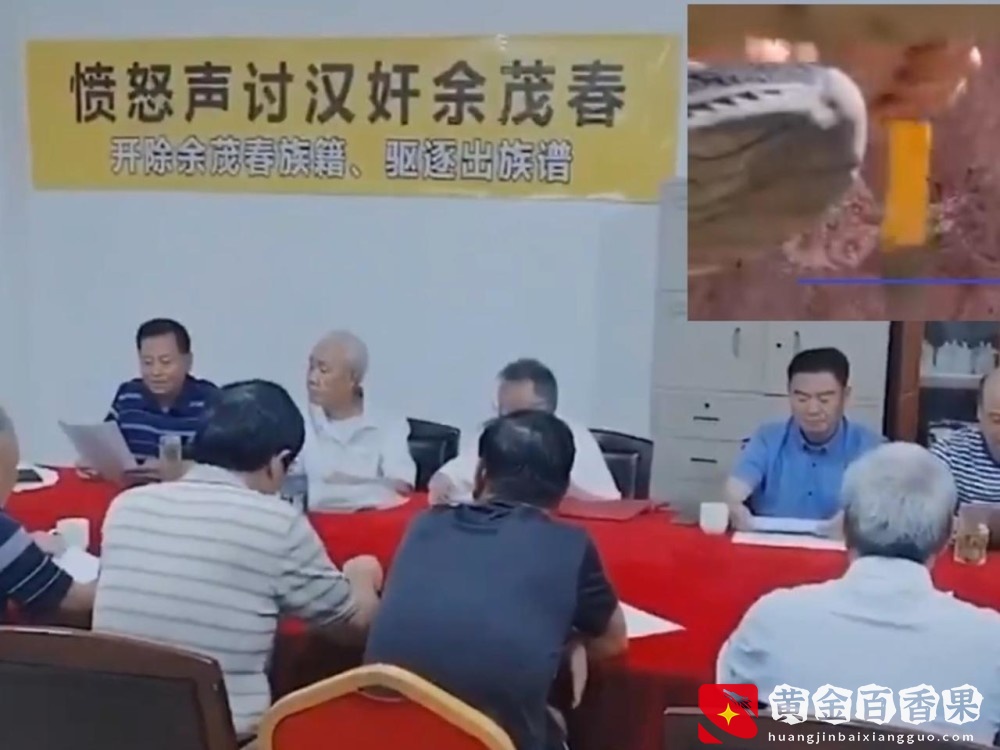 美国的狗头军师余茂春，背叛祖国忘恩负义，如今下场如何了？