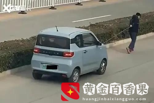 禁售燃油车！多地公布时间表