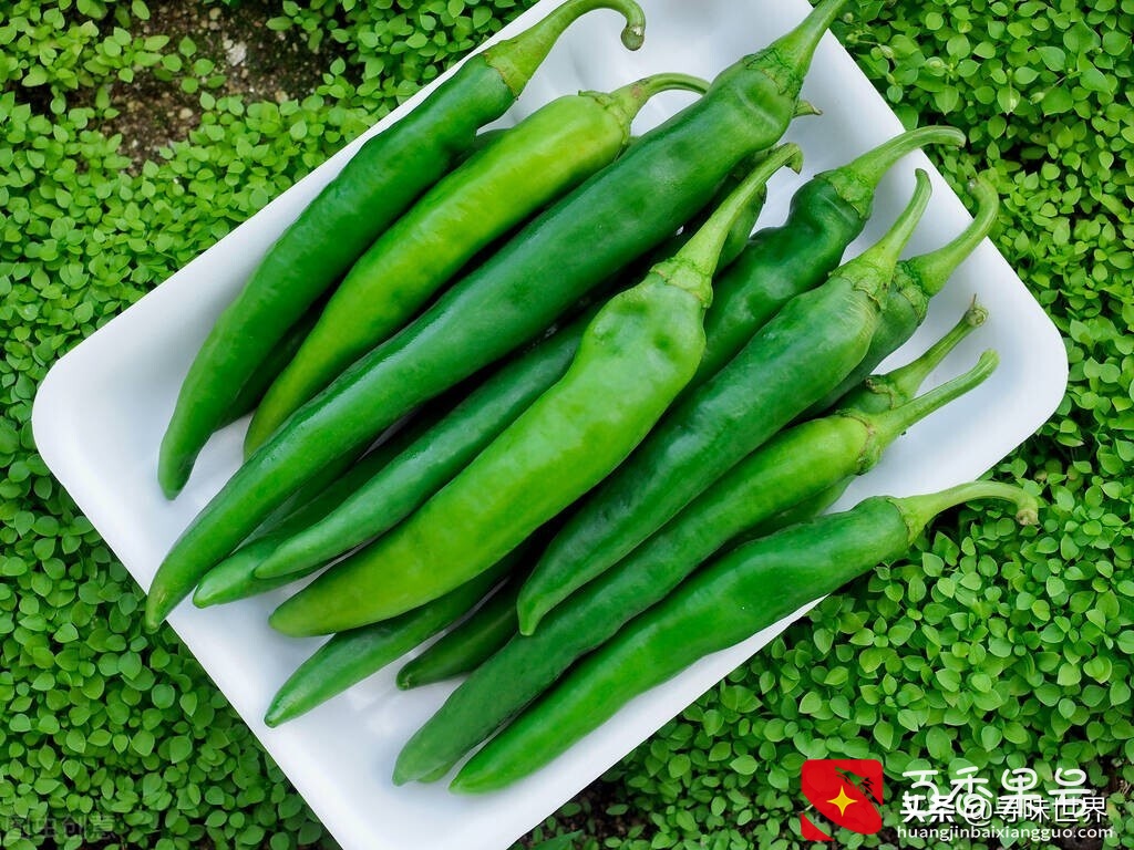 蔬菜要因时而食，记住1到12月应季蔬菜一览表，应季而食身体棒