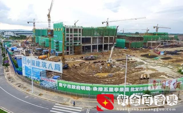 广西最大的水果批发市场在哪里