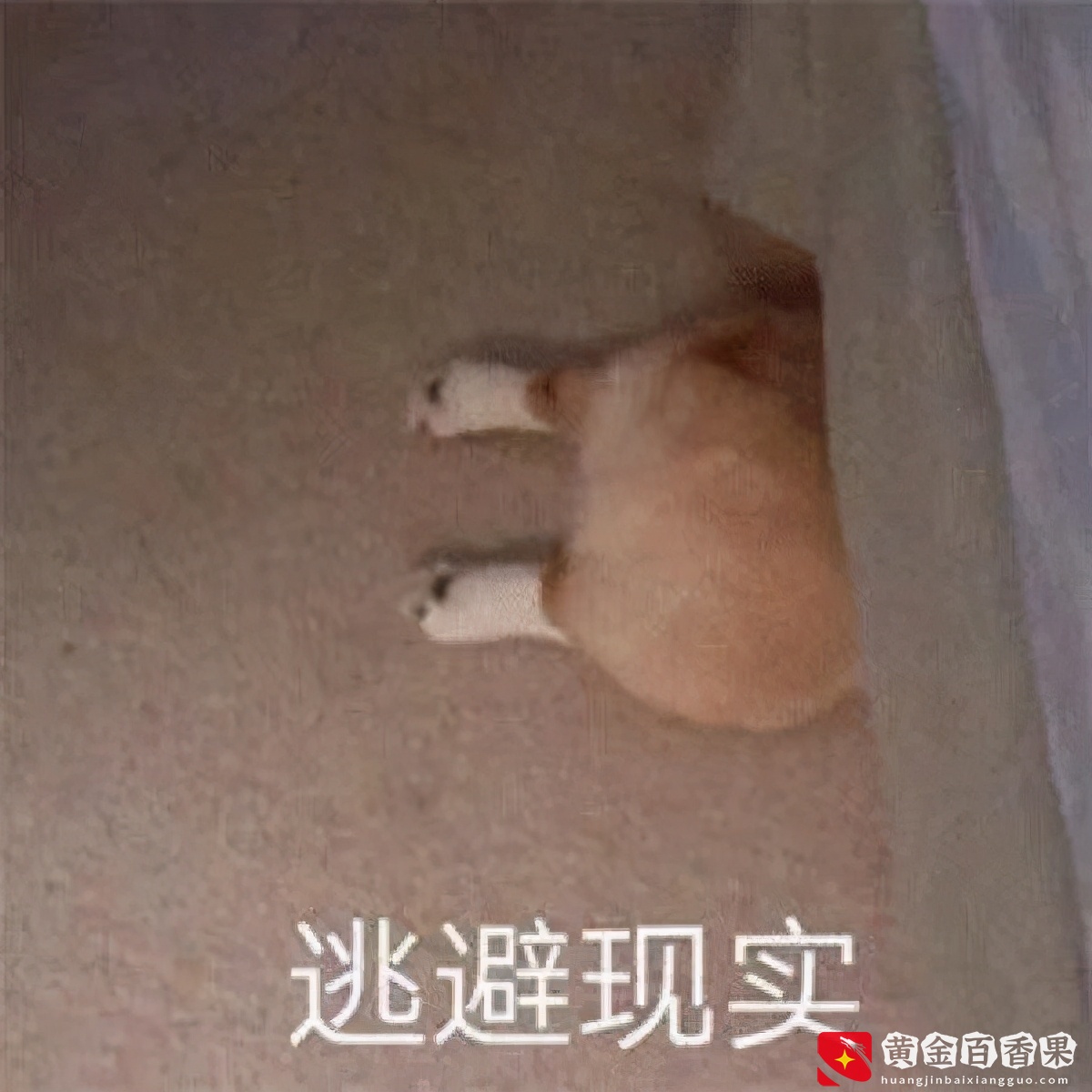 大意了啊！在苏州找工作怎么这么难？告辞