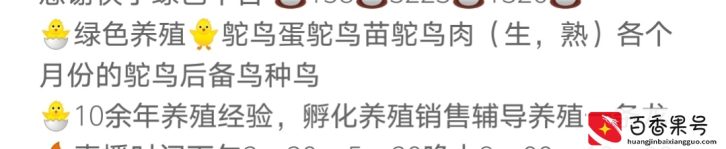 鸵鸟养殖和收益分析