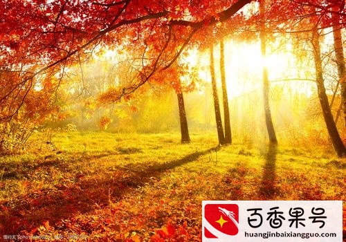 人为什么要创新？创新的意义是什么？