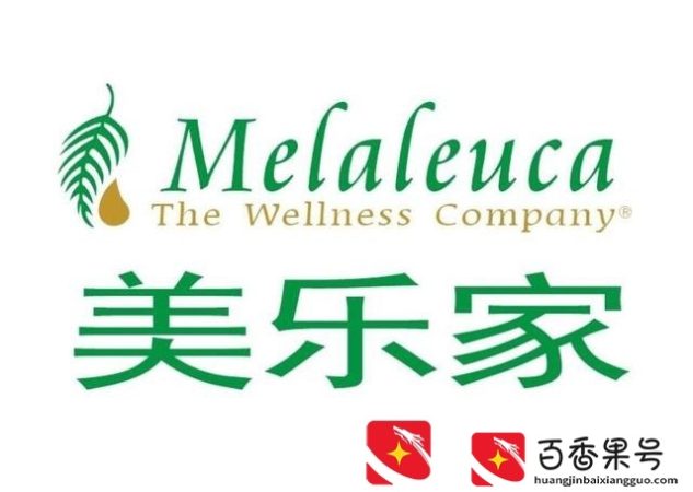美乐家概况