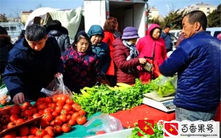 农村生意，投资不要太大的，有哪些能每月挣到一万以上？