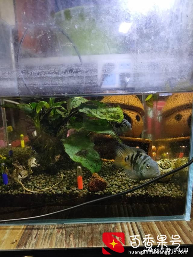 便利店怎么样经营才能把生意做好