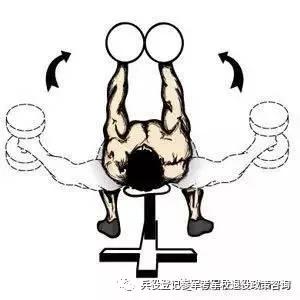 体重BMI指数计算器（标准适用于征兵、直招士官、定向培养士官）