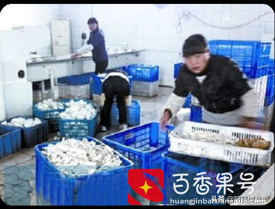 厨师改行创业做“一次性水晶餐具”年收入过百万