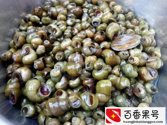 现在养殖业什么前景最好