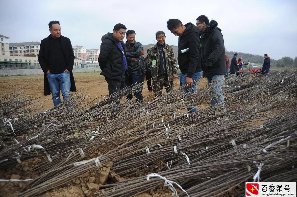 农村的暴利行业你知道几个？你从事了吗？
