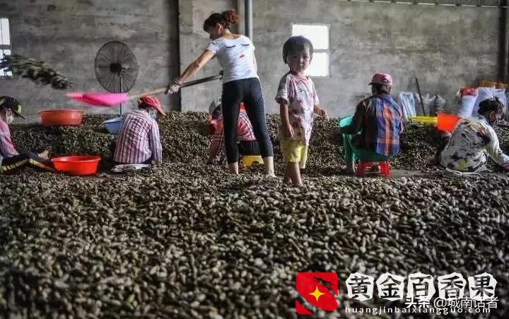 6000万人撑起的槟榔千亿产业，他把癌症卖给你，你还说它提神