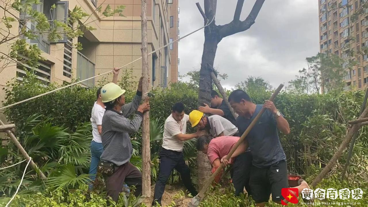 “物业人”的感受