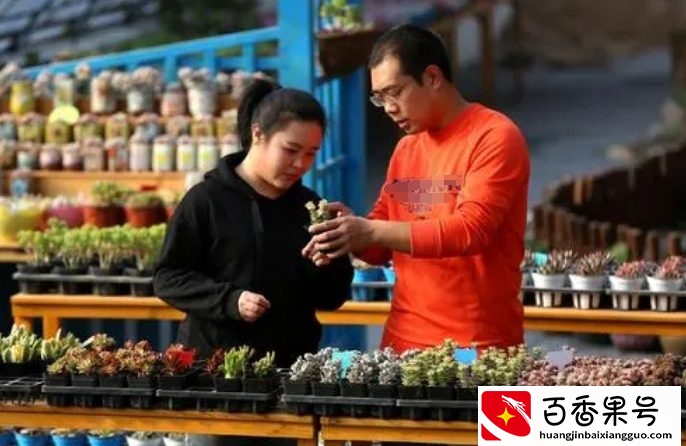 在农村，适合“夫妻创业”的赚钱行业有哪些？这几个值得一试