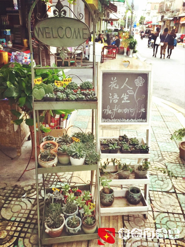 厦门大名鼎鼎的花鸟市场