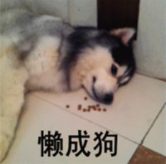 懒惰是一种心理疾病：我们就这样慢慢活成了自己讨厌的样子