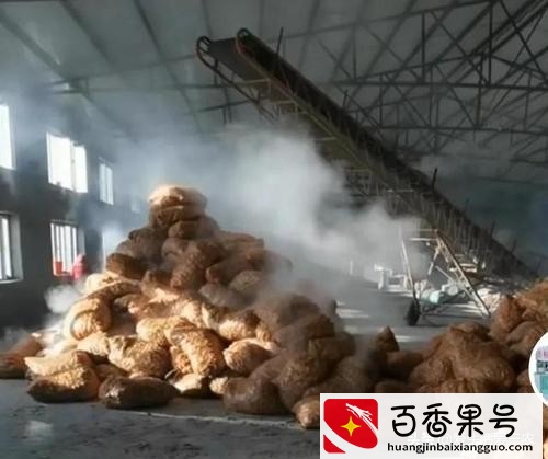 分享五个投资小、利润高的农村小型加工厂，建议收藏