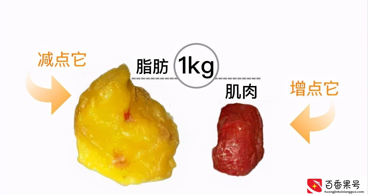 我国成年人平均身高、体重公布，你超重了吗？