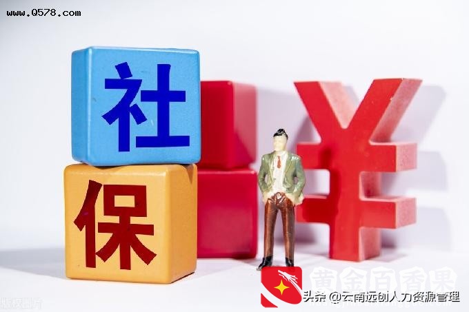 个人缴纳社保，什么样的档次最划算？