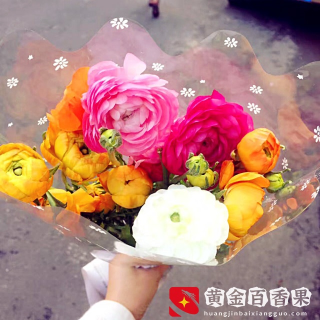 厦门大名鼎鼎的花鸟市场