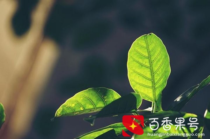 水滴筹现在可靠吗？真的会有人筹到钱取不出来吗？这些坑别踩