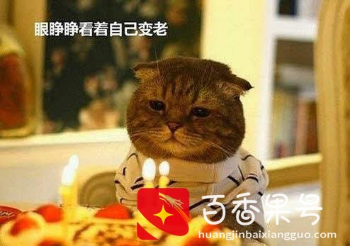 适合祝自己生日快乐的句子，既幽默又搞笑，朋友圈一定会互动满满