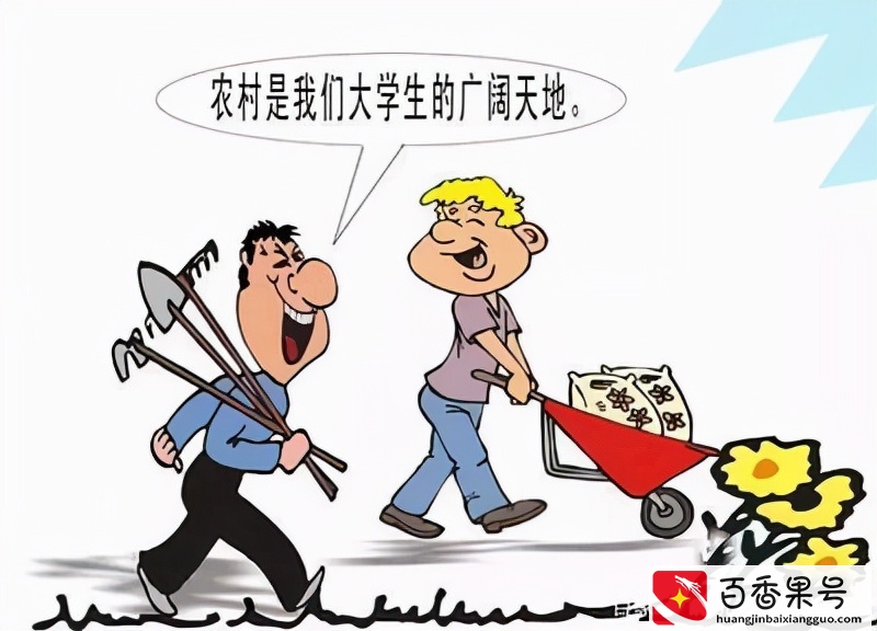 选调生的实际待遇如何？