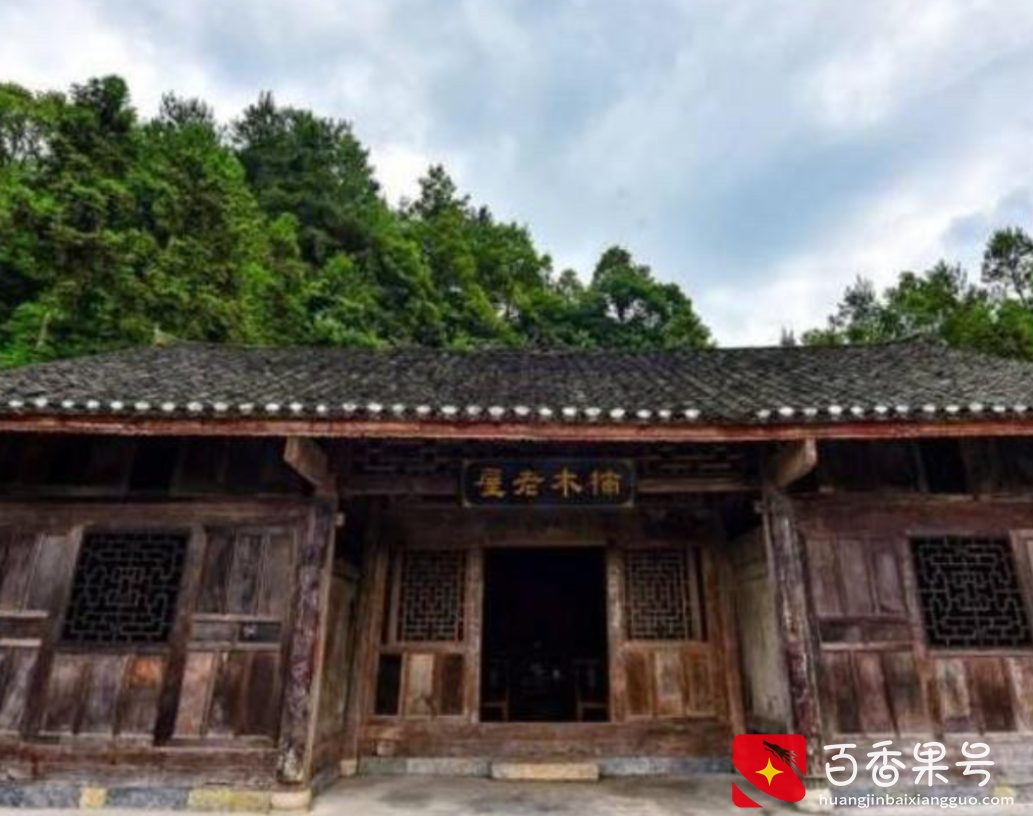 一棵树能卖2.3个亿！金丝楠木那么贵，树苗12元为何却没人愿种？
