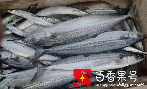 烟台特产有哪些土特产？烟台特色美食前十名？