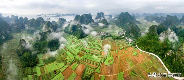旅游发展的前景和趋势