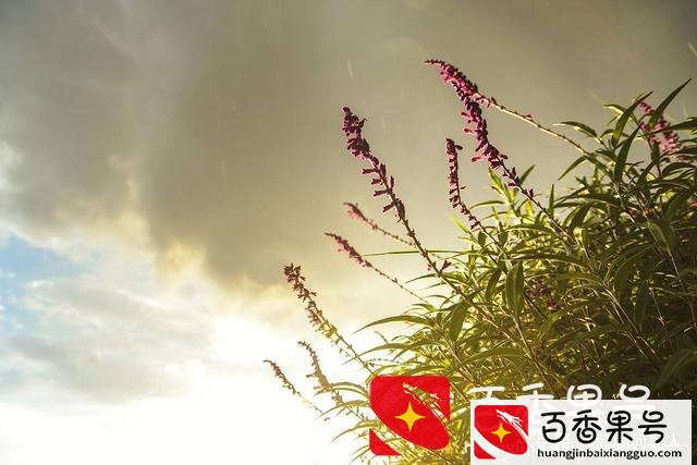 投资少见效快的小生意有哪些