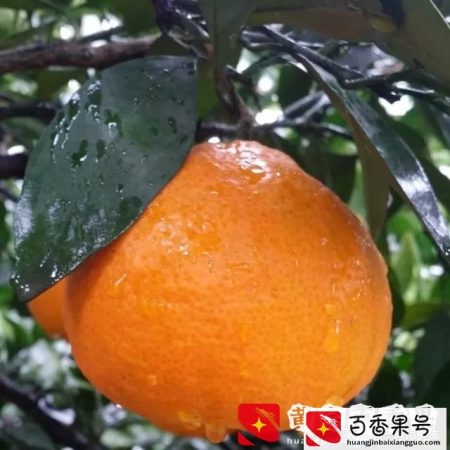 在平安上班真实的感受